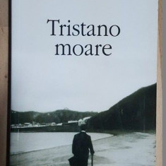 Tristano moare- Antonio Tabucchi