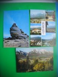 HOPCT LOT 3275 - 3 CARTI POSTALE -I BUSTENI -JUD-PRAHOVA-NECIRCULATE, Necirculata, Printata