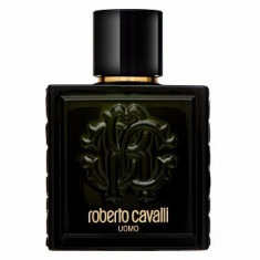 Roberto Cavalli Uomo Eau de Toilette pentru barba?i 100 ml foto