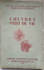 CULTURA VITEI DE VIE-TH. BEJAN foto