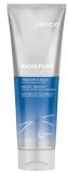 Tratament de par Moisture Recovery, 250ml, Joico