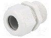 Presetupa poliamida, PG21, IP68, HSK-K, HUMMEL - 1.209.2100.61
