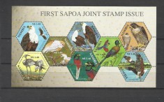 NAMIBIA 2004 FAUNA PASARI SAPOA foto