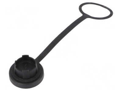 Capac Protec&amp;Aring;&amp;pound;ie USB Buccaneer foto