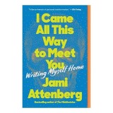 I Came All This Way to Meet You