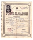 Diploma de absolvire a scolii profesionale, tesatoare mecanica, 1966