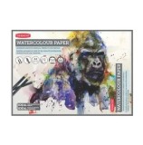 Caiet pentru desen pe baza de apa Derwent Proffesional, A3, 12 coli, 300 gsm, hartie alba