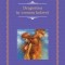 Dragostea in vremea holerei/Gabriel Garcia Marquez