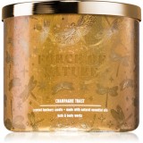 Bath &amp; Body Works Toast lum&acirc;nare parfumată 411 g