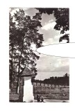 CP Curtea de Arges - Fantana mesterului Manole, RSR, circulata 1968, animata, stare foarte buna