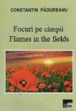 Focuri pe campii. Flames in the fields