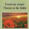 Focuri pe campii. Flames in the fields