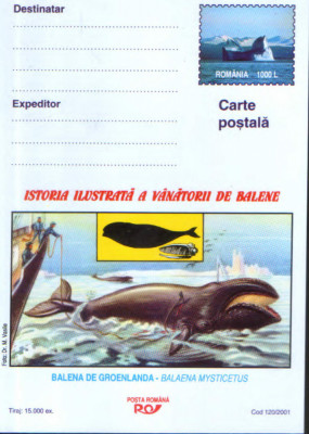 Romania - Intreg postal CP necirculat 2001- Istoria ilust. a vanatorii de balene foto