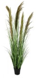 Cumpara ieftin Pampas artificial in ghiveci verde maro 70x145 cm