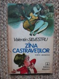 Valentin Silvestru - Zana castravetilor. Schite umoristice