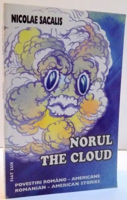 NORUL , THE CLOUD de NICOLAE SACALIS , 2004 foto