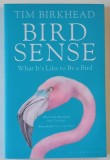 BIRD SENSE , WHAT IT &#039; S LIKE TO BEN A BIRD by TIM BIRKHEAD , 2013 , PREZINTA HALOURI DE APA *
