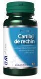 CARTILAJ DE RECHIN 60CPS