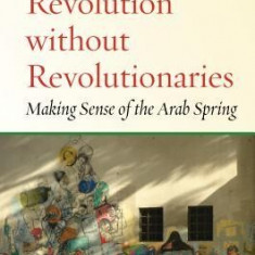 Revolution Without Revolutionaries: Making Sense of the Arab Spring