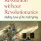 Revolution Without Revolutionaries: Making Sense of the Arab Spring