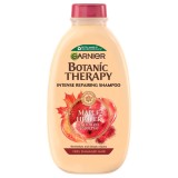 Sampon pentru par fragil cu tendinta de cadere Ricin Oil &amp; Almond Botanic Therapy, 400ml, Garnier