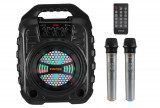 Cumpara ieftin Aparat de karaoke EARISE T26 Pro cu 2 microfoane fara fir - RESIGILAT
