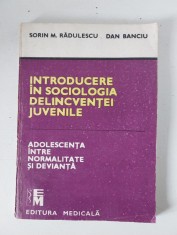 Sorin M. Radulescu - Introducere in sociologia delincventei juvenile, Editura Medicala 1990 foto