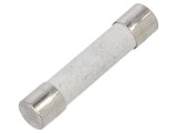 Siguranță &icirc;nt&acirc;rziere 30A 250VAC bronz, SCHURTER