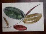 29. Plante, acuarela veche pictura