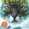 Warriors: The Broken Code: Lost Stars