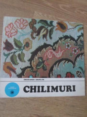 CHILIMURI-SMARANDA SBURLAN foto