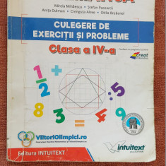 MATEMATICA CULEGERE DE EXERCITII SI PROBLEME CLASA A IV A PACEARCA ALEXE