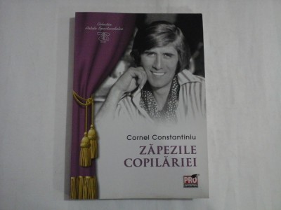 ZAPEZILE COPILARIEI - CORNEL CONSTANTINIU foto