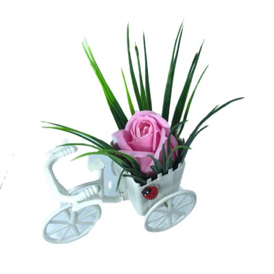 Aranjament Floral, Bicicleta, Trandafir Roz, Parfumat, Buburuza foto