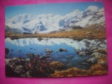 HOPCT 20062 MASIVUL MUNTOS BERNINA -ELVETIA -CIRCULATA