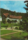 CPIB 15216 - CARTE POSTALA - BORSEC. PAVILIONUL CENTRAL