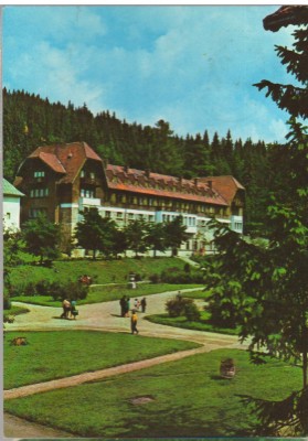 CPIB 15216 - CARTE POSTALA - BORSEC. PAVILIONUL CENTRAL foto