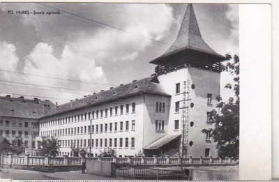 bnk cp Targu Mures - Scoala agricola - necirculata foto