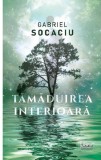 Tamaduirea interioara | Gabriel Socaciu