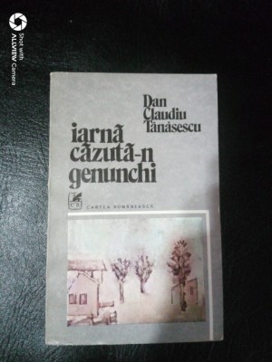 Iarna cazuta-n genunchi-Dan Claudiu Tanasescu foto