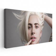 Tablou afis Lady Gaga cantareata 2375 Tablou canvas pe panza CU RAMA 40x80 cm foto