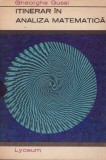 Gheorghe Gussi - Itinerar in analiza matematica - 128457