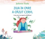 Cumpara ieftin Ziua in care a cazut cerul. Cum sa-ti recapeti echilibrul/Juliette Ttofa