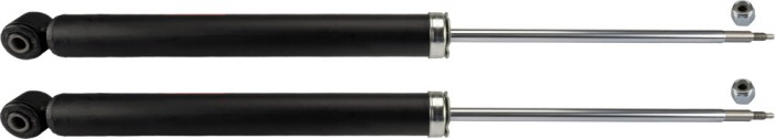 TRW JGT244T TRW TWIN amortizor