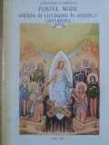 POSTUL MARE. ASCEZA SI LITURGHIE IN BISERICA ORTODOXA-ALEXANDRE SCHMEMANN-228695