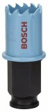 Bosch Carota tabla 22mm ProAdvanced PowerfulTools