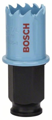 Bosch Carota tabla 22mm ProAdvanced PowerfulTools foto