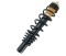 Amortizor ATV 4T - compatibil M550 550 E2 E4 - 2