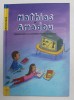MATHIAS SI AMADOU - SENSIBILIZAREA LA COOPERAREA PENTRU DEZVOLTARE, 2007
