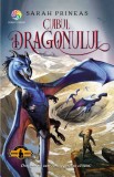 Cumpara ieftin Cuibul Dragonului, Sarah Prineas - Editura Corint